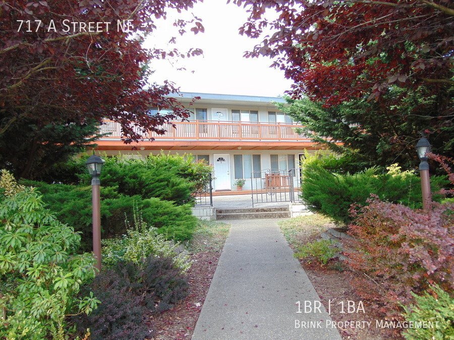 Charming Auburn One Bedroom Apartment with Vaulted Ceilings! property image