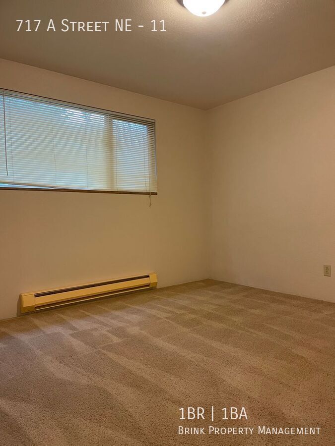 Charming Auburn One Bedroom Apartment with Vaulted Ceilings! property image