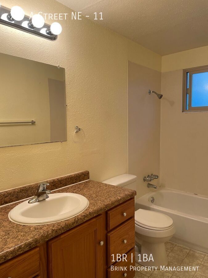 Charming Auburn One Bedroom Apartment with Vaulted Ceilings! property image