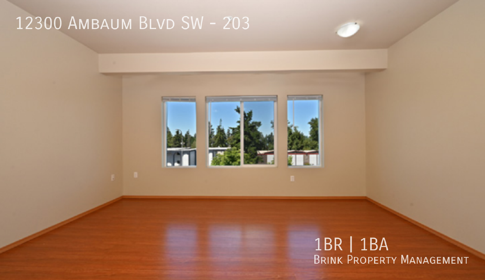 Ambaum Place | Spacious Floorplan w/ In-Unit Laundry Available Now! property image