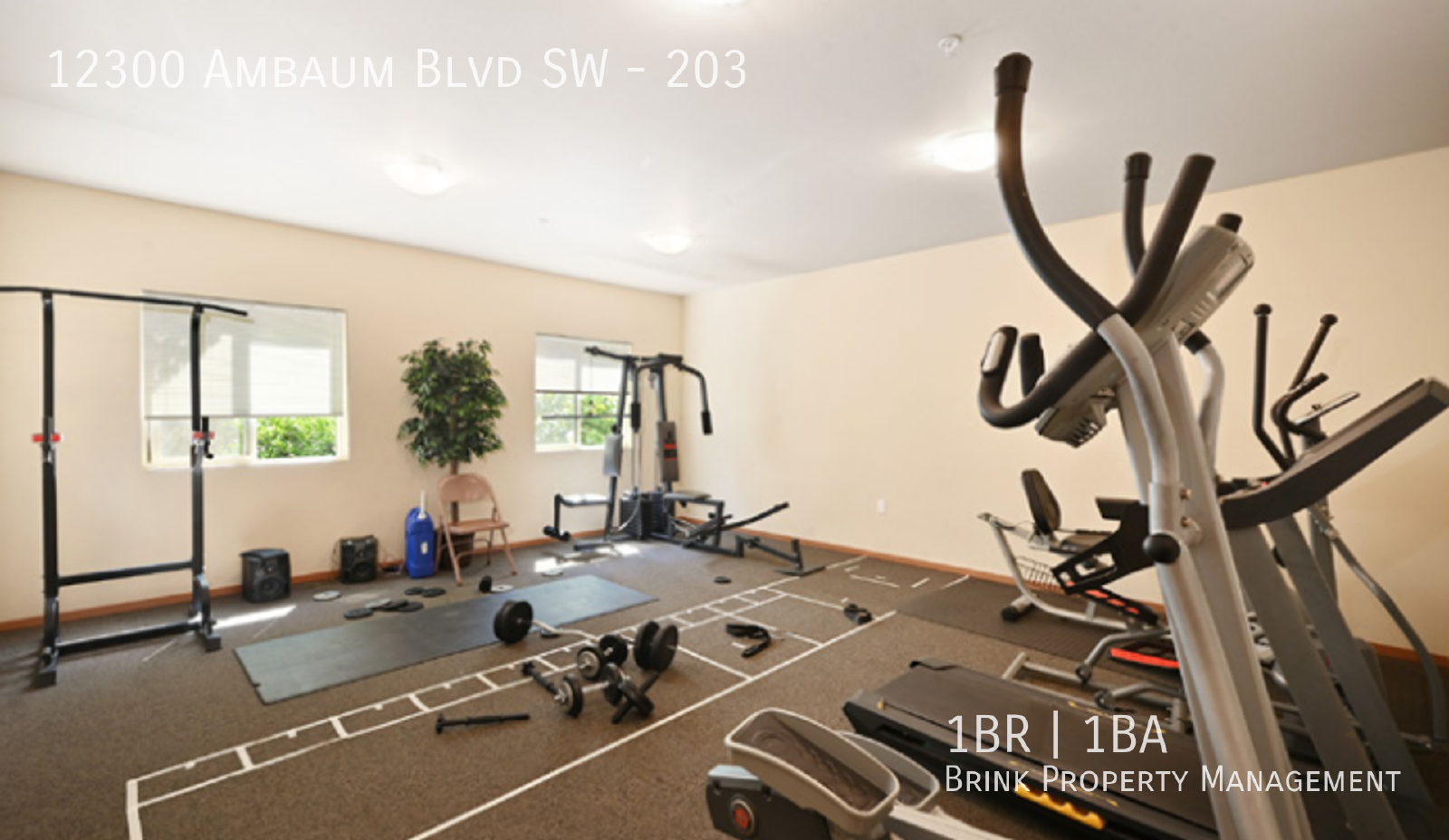 Ambaum Place | Spacious Floorplan w/ In-Unit Laundry Available Now! property image